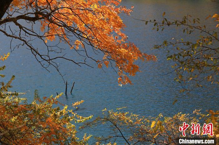 松坪溝風(fēng)光?！⑼?攝