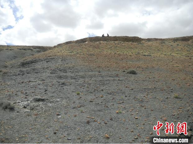 圖為本次研究的藏南曲布剖面二疊紀(jì)末期黑色頁(yè)巖?！∧瞎潘?供圖