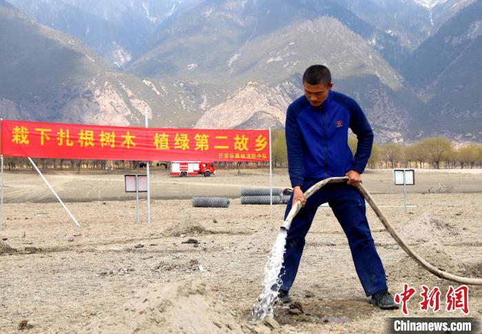 林芝市巴宜區(qū)森林消防中隊(duì)志愿服務(wù)隊(duì)澆水灌溉?！∥骼@拉翁 攝