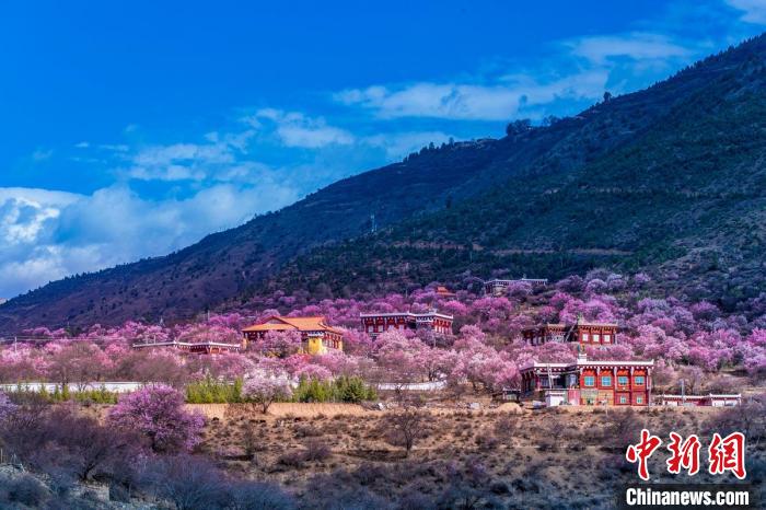 美麗的鄉(xiāng)村畫卷?！『涡秀?攝