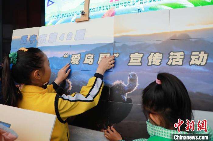 圖為學生通過拼圖游戲了解鳥類知識。　馬銘言 攝