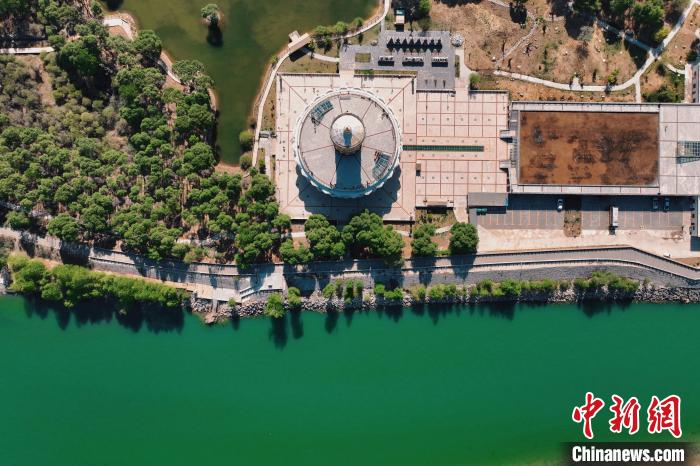 航拍青海貴德黃河岸畔綠意濃濃?！≮w凜松 攝