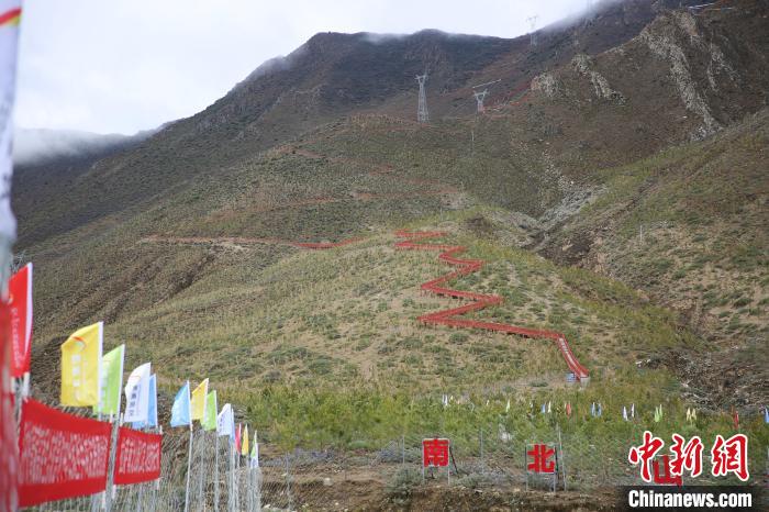 圖為拉薩南北山綠化工程拉薩曲水縣才納村5號(hào)片區(qū)?！∝暣_ 攝