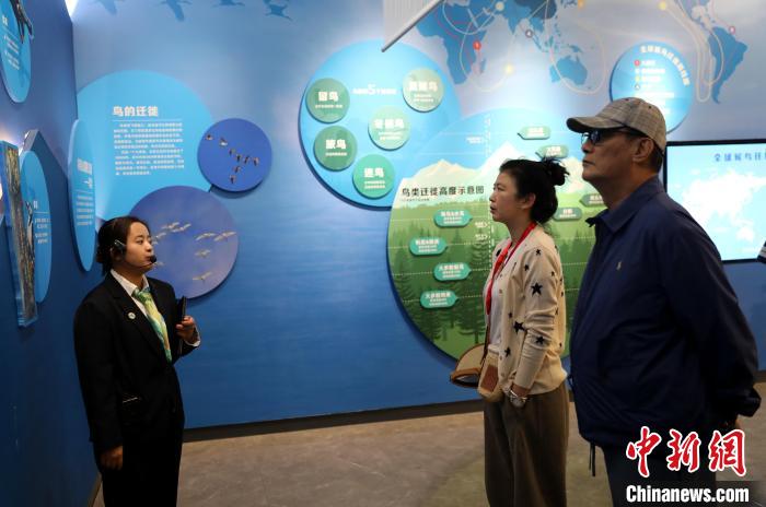 圖為臺商在祁連山國家公園生態(tài)科普館內(nèi)聆聽講解?！⊙Φ?攝