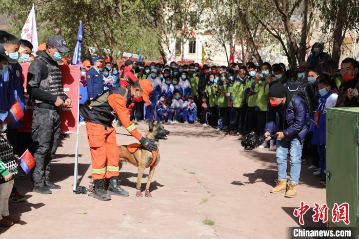 圖為搜救犬服從和箱體搜救演練?！≮w琳 攝