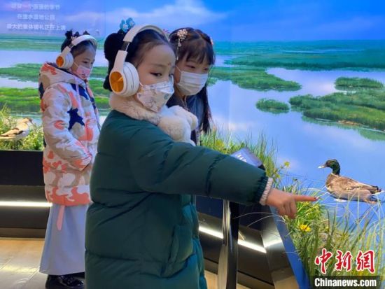 圖為學生在西寧市第一中學濕地科普宣教館內參觀?！±罱瓕?攝