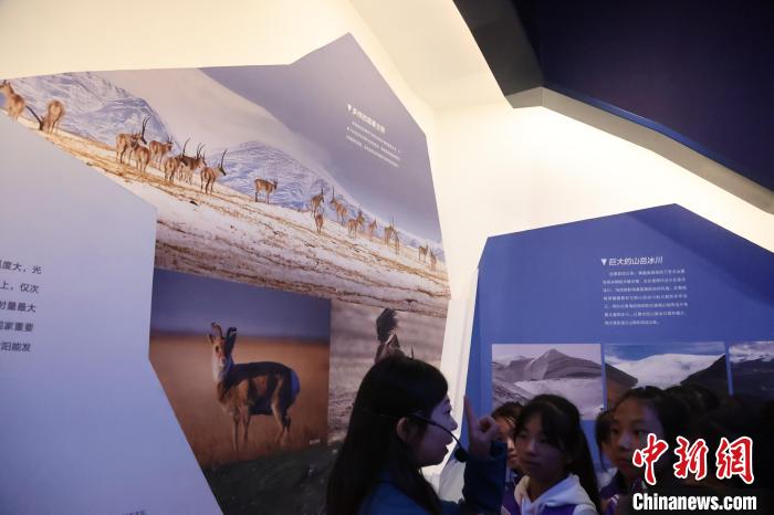 全國(guó)科普日:青海高原青少年探秘“地球密碼”