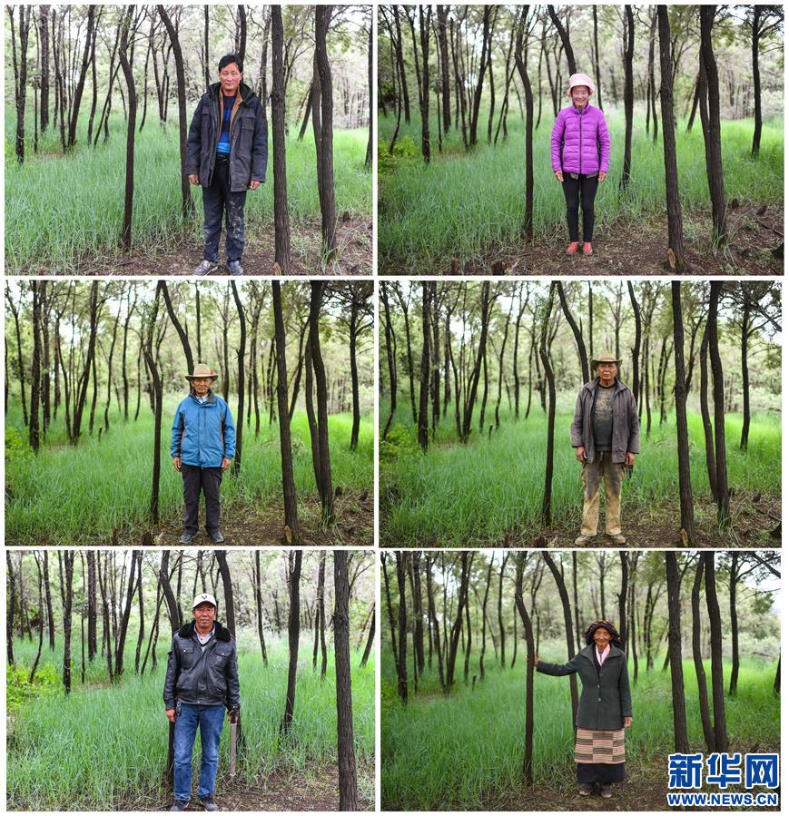 (新華全媒頭條·圖文互動(dòng))(7)莊重的承諾 歷史的奇跡——西藏自治區(qū)決戰(zhàn)脫貧攻堅(jiān)紀(jì)實(shí)