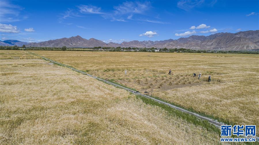 （新華全媒頭條·走向我們的小康生活·圖文互動(dòng)）（11）扎西德勒，我們的新家園——西藏易地扶貧搬遷搬出幸福美好新生活