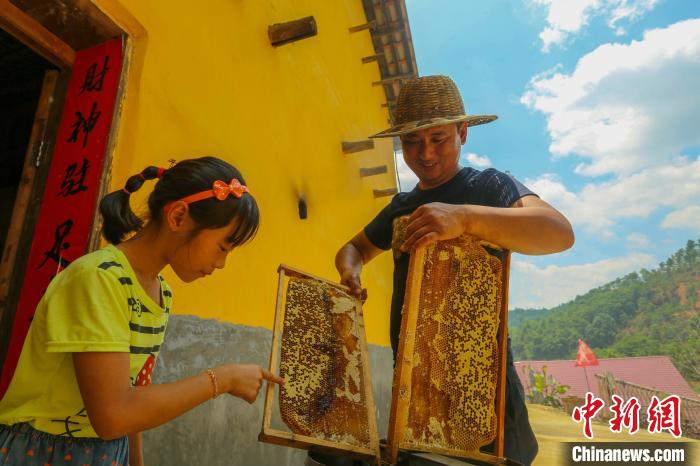 “甜蜜產(chǎn)業(yè)”讓全村致富有奔頭。洲湖鎮(zhèn)供圖