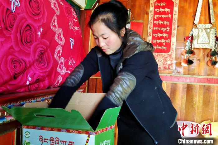 圖為通麥村村民巴桑拉姆把精心挑選的蘋果裝箱?！∝暽＠?攝