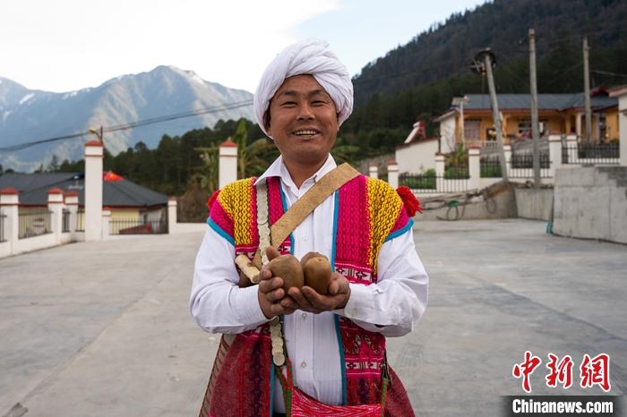 1月29日，京都村委會(huì)主任阿胖正在展示該村種植的獼猴桃。<a target='_blank' ><p  align=