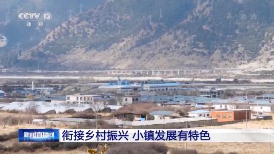 種蘑菇、養(yǎng)駱駝...。。特色產(chǎn)業(yè)助力鄉(xiāng)村振興走新路