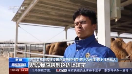 種蘑菇、養(yǎng)駱駝...。。特色產(chǎn)業(yè)助力鄉(xiāng)村振興走新路