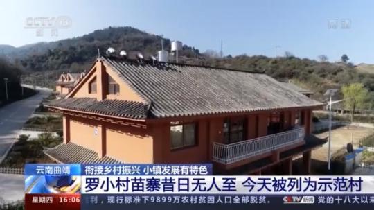 種蘑菇、養(yǎng)駱駝...。。特色產(chǎn)業(yè)助力鄉(xiāng)村振興走新路