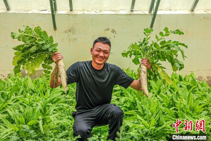 西藏阿里門士邊境派出所民警兼職大棚種植、豐富牧民餐桌