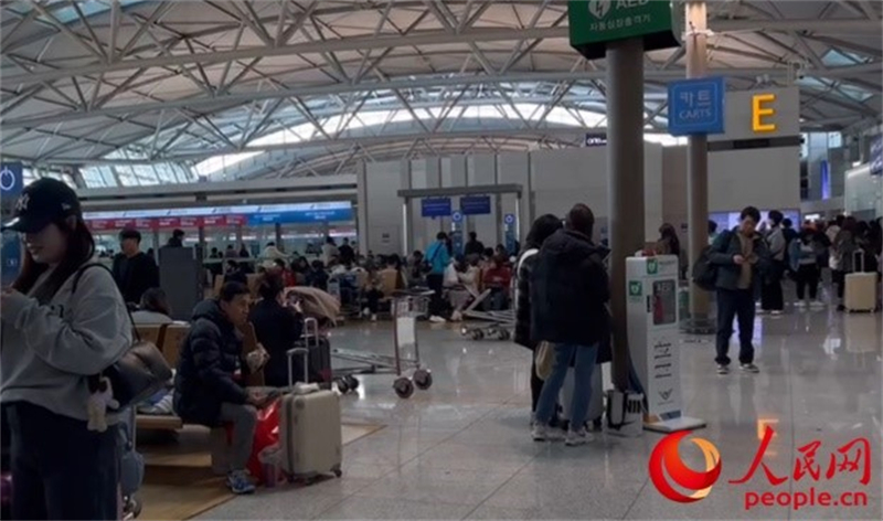 11月29日，繁忙的仁川機(jī)場(chǎng)。人民網(wǎng) 李帆攝