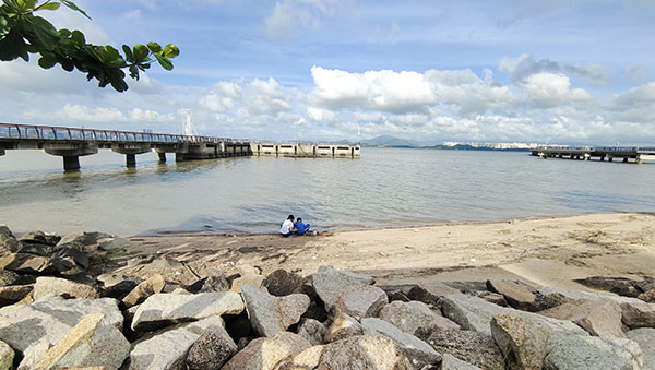 深圳紅樹(shù)林灘涂，留給了孩子們親近自然的空間。人民網(wǎng)記者 李彤?dāng)z