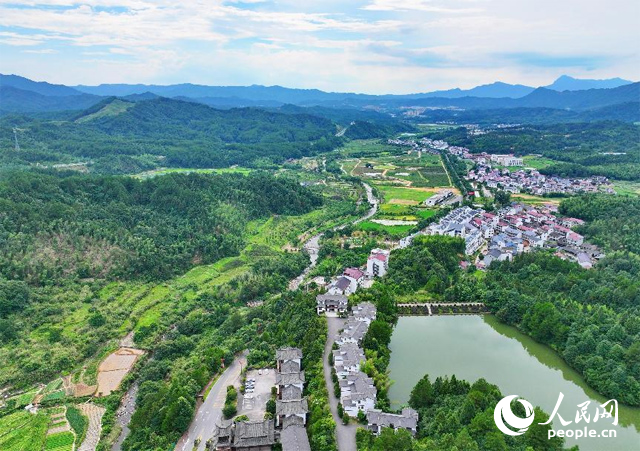 資溪縣森林資源豐富，森林覆蓋率達87.7%，有林地資源168萬畝。人民網(wǎng) 朱海鵬攝