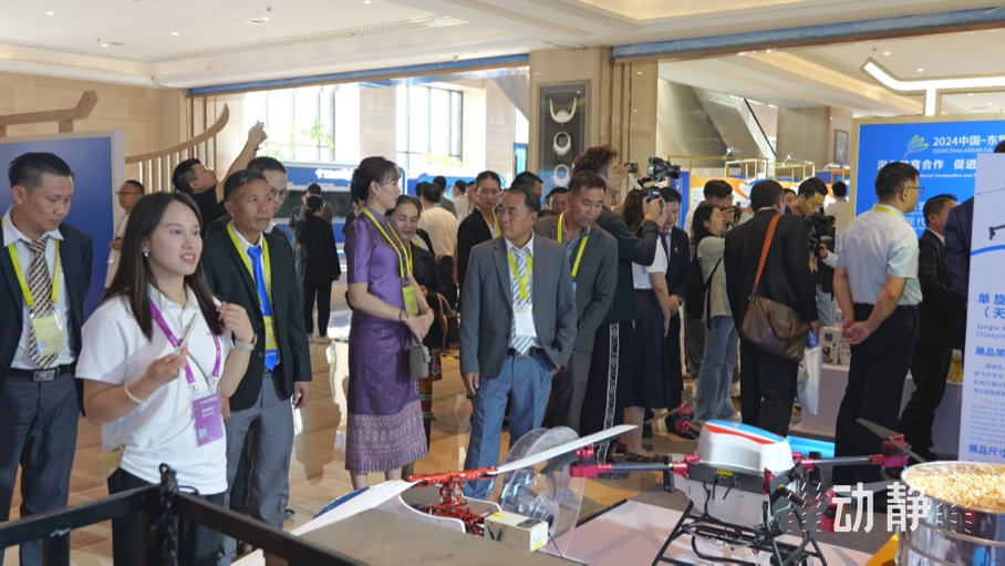 展示成果分享經(jīng)驗(yàn)，中國—東盟教育交流周深化合作共創(chuàng)未來！