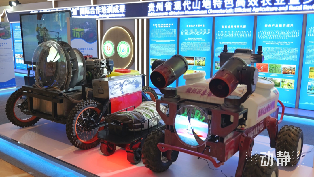 展示成果分享經(jīng)驗(yàn)，中國—東盟教育交流周深化合作共創(chuàng)未來！