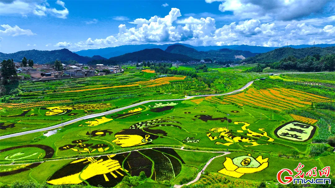 云南清水：延伸公共法律服務(wù)觸角，讓普法與民族團結(jié)進步互促共融