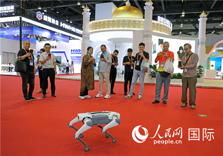 東博會(huì)上，觀眾正在參觀一只機(jī)器狗。綠色能源、新能源汽車、綠色農(nóng)產(chǎn)品等成為本屆東博會(huì)觀眾關(guān)注的焦點(diǎn)。人民網(wǎng)記者 趙益普攝