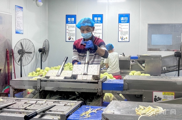 高質(zhì)量發(fā)展看中國(guó) | 廣西:三產(chǎn)融合“潤(rùn)澤”鄉(xiāng)村沃土 讓農(nóng)民腰包越來越鼓