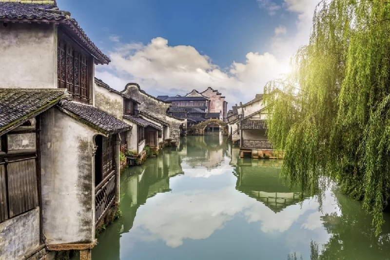 烏鎮(zhèn)動觀察｜這個字，牽起國際交流互鑒之紐帶