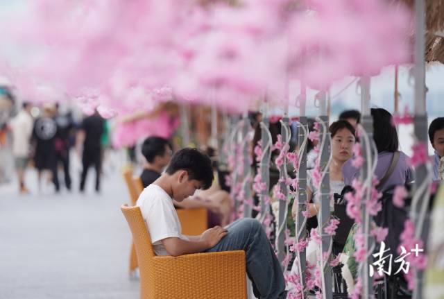 崖口村東堤靠近海岸，成為了熱門打卡休閑地點(diǎn)。