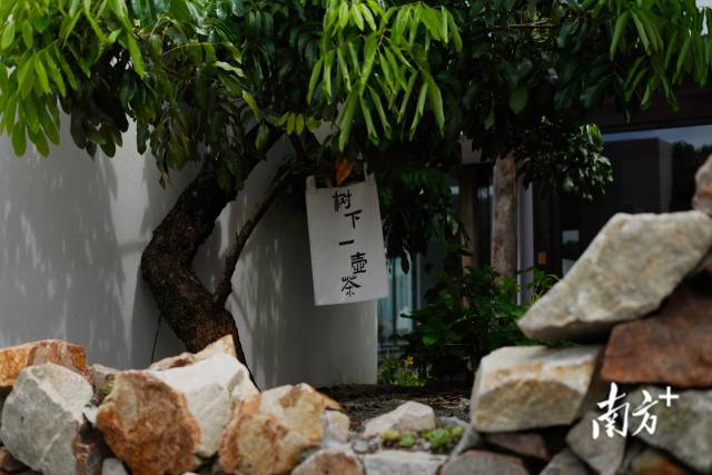 崖口村內(nèi)的文藝民宿。