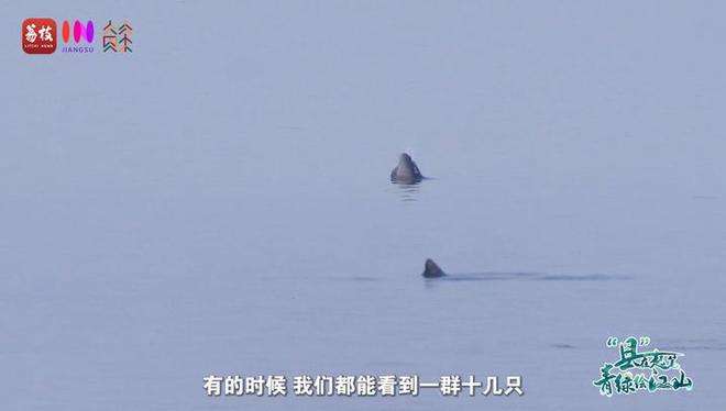 “縣”在起筆 青綠繪江山 | 江灣沐曉：褪去“銹色”走“金線”，繡出生態(tài)與產業(yè)“雙面錦”