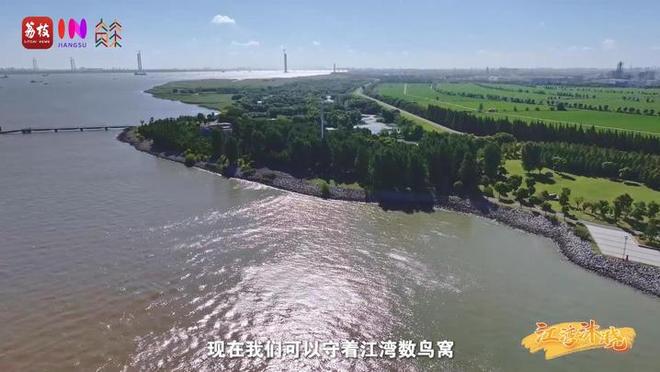 “縣”在起筆 青綠繪江山 | 江灣沐曉：褪去“銹色”走“金線”，繡出生態(tài)與產業(yè)“雙面錦”