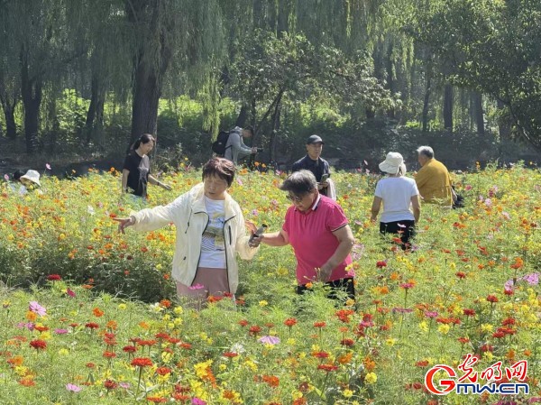 何以中國·理想都城｜數(shù)字化技術(shù)再現(xiàn)圓明園昔日輝煌盛景
