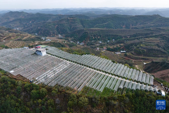 【高質(zhì)量發(fā)展看陜西】“上天”的延安蘋果，蘊(yùn)藏哪些新質(zhì)生產(chǎn)力