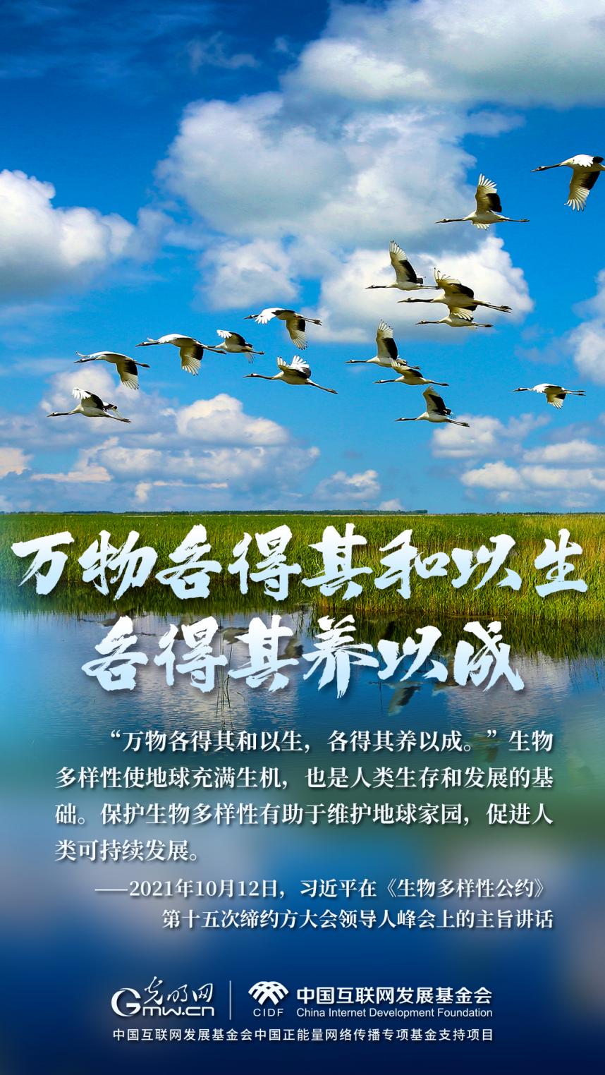 “兩山”理念與美麗中國丨濕地與候鳥，一場歲歲年年的相守