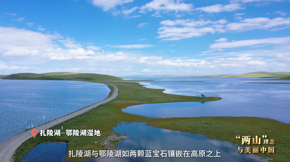 “兩山”理念與美麗中國丨濕地與候鳥，一場歲歲年年的相守