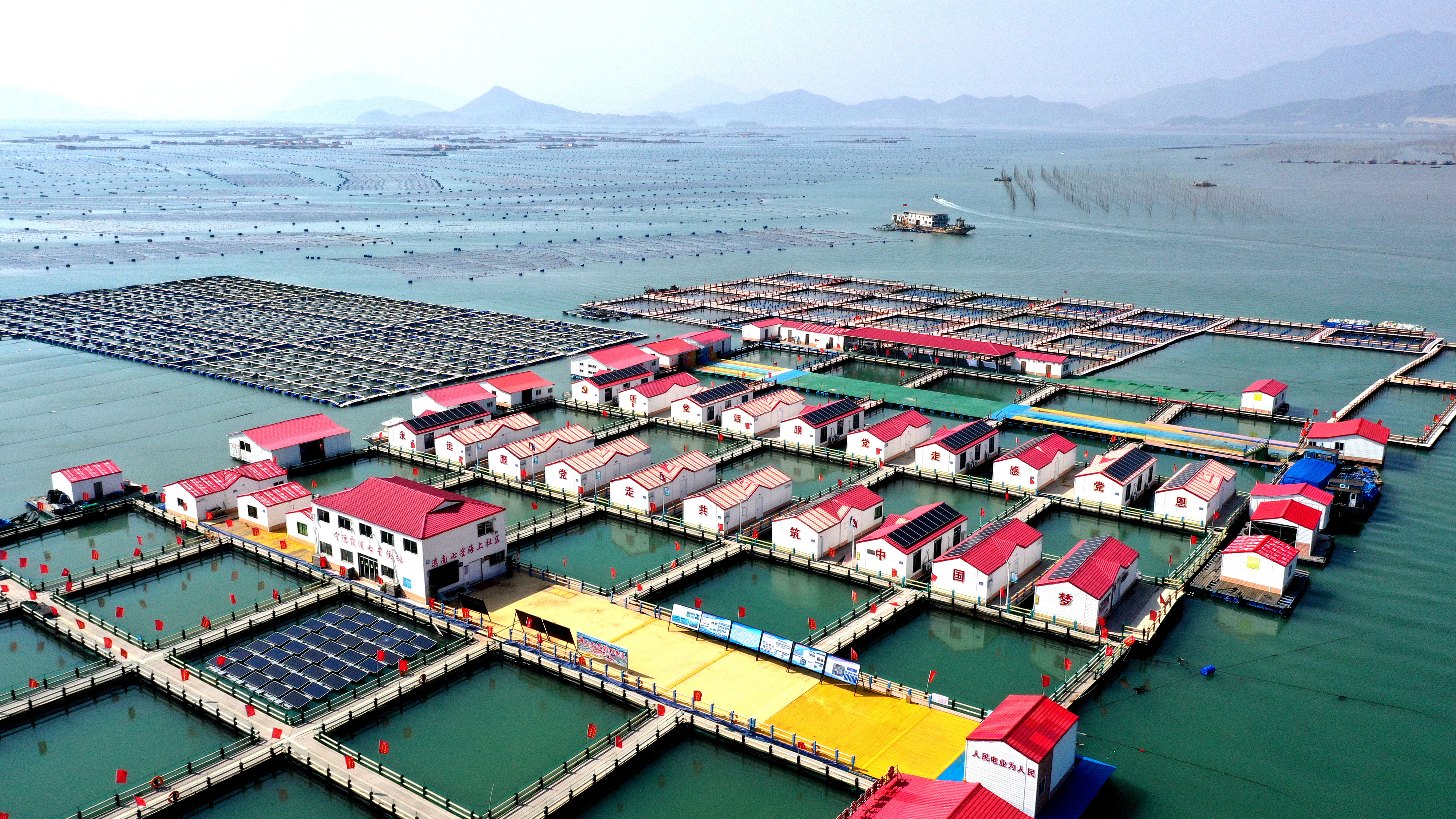 2024年3月20日，福建省寧德市，霞浦縣溪南鎮(zhèn)七星村漁排養(yǎng)殖示范區(qū)，漁民駕駛養(yǎng)殖船進(jìn)行海參養(yǎng)殖作業(yè)。