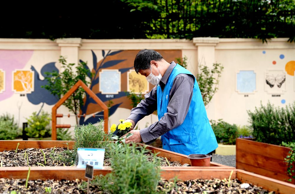 上海市長寧區(qū)虹旭小區(qū)居民在整理改造社區(qū)花園。居民們把堆肥箱里發(fā)酵出來的“綠色材料”和土壤拌在一起鋪在種植箱中（2020年4月22日攝）。新華社記者 張建松 攝
