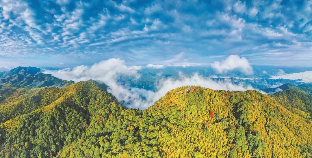 　三明森林生態(tài)環(huán)境優(yōu)美。