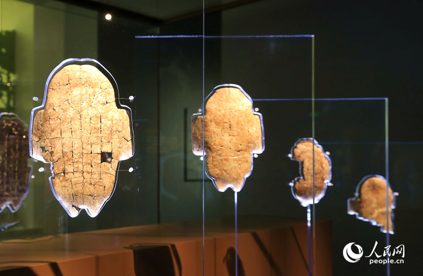 殷墟博物館展出的甲骨文。人民網(wǎng)記者 慎志遠(yuǎn) 攝