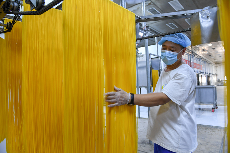 2024年1月25日，在吉林省公主嶺市的一家公司車間，工人查看玉米面條生產(chǎn)情況。