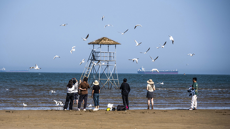 2024年5月12日，河北秦皇島，北戴河鴿子窩公園成群海鷗在天空中自由翱翔，與大海、藍(lán)天構(gòu)成了一幅美麗的畫(huà)卷。