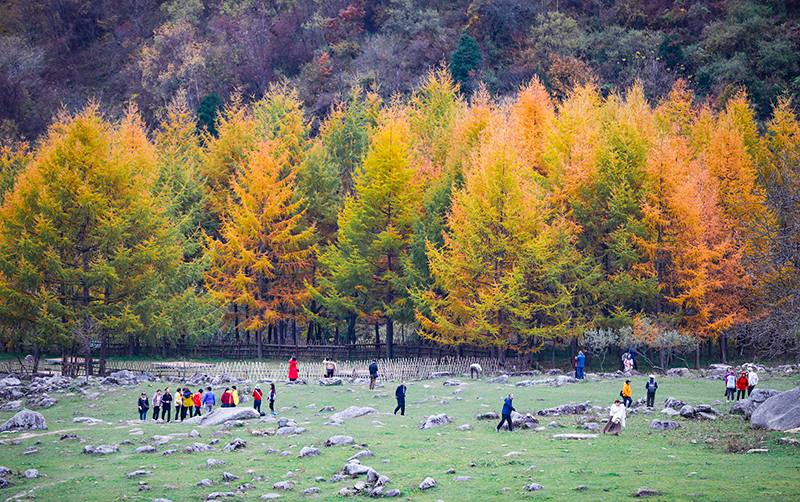 2023年10月27日，深秋時(shí)節(jié)的陜西秦嶺太子嶺漫山紅黃、色彩交織，進(jìn)入最佳觀賞期。