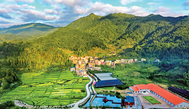 林茂田豐、天藍(lán)水清的“七彩”后洋村。 寧德市委宣傳部供圖 （2023年第24期《求是》雜志刊發(fā)）