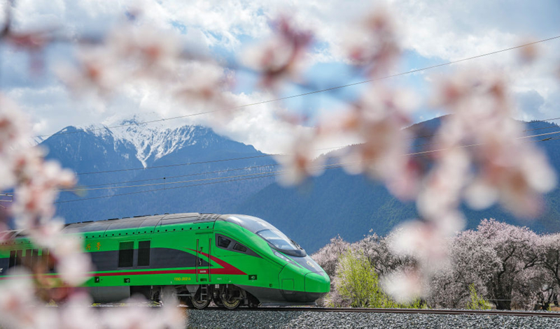 2025年4月2日，復(fù)興號(hào)列車穿行在拉林鐵路林芝段。