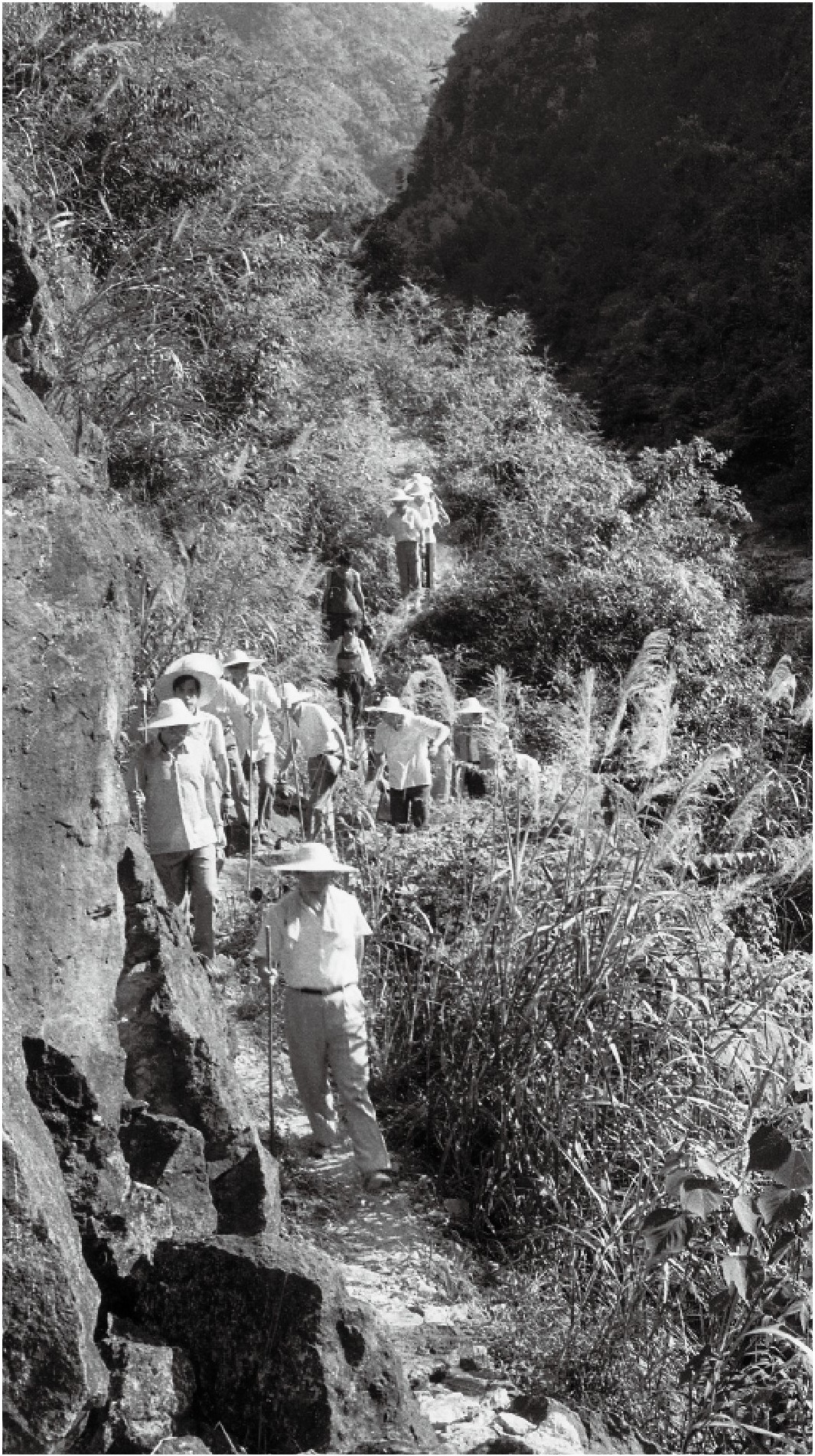 1989年7月，習(xí)近平一行到壽寧縣下黨鄉(xiāng)調(diào)研。