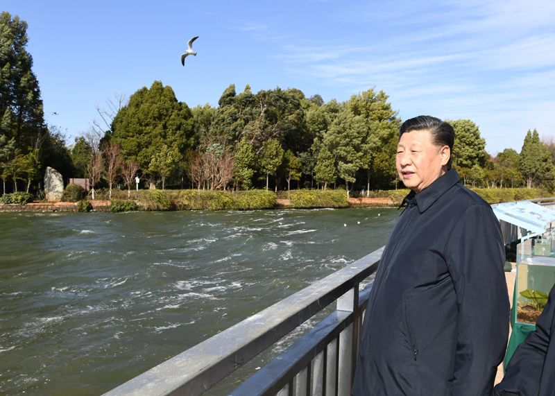 2020年1月20日下午，習(xí)近平總書記在云南昆明滇池星海半島生態(tài)濕地考察調(diào)研。