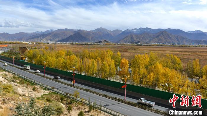 從拉薩北面看拉魯濕地和布達(dá)拉宮?！〗w波 攝