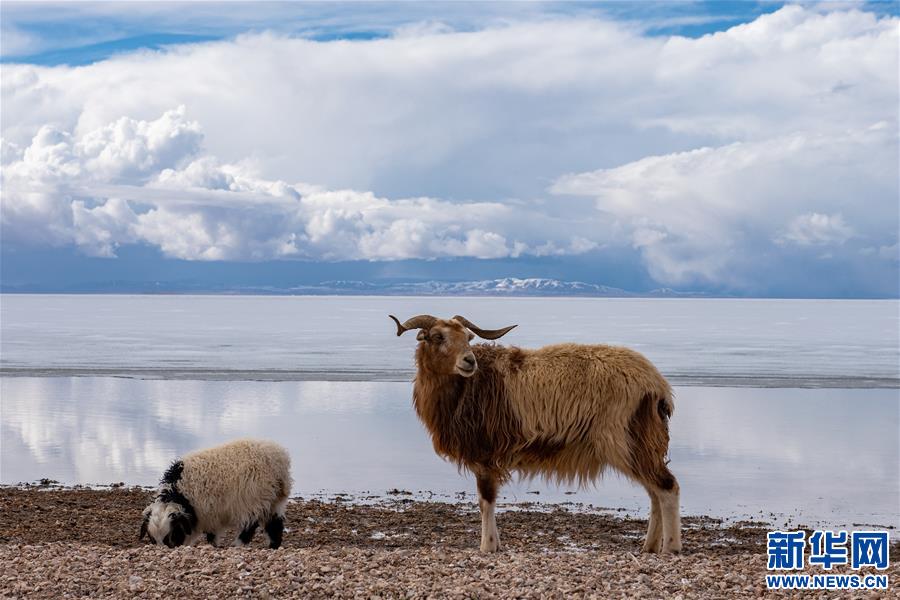 （美麗中國(guó)）（3）春暖雪域 色林錯(cuò)“解凍”